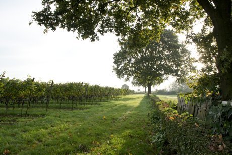 18-Groepsaccommodatie-Groesbeek.jpg