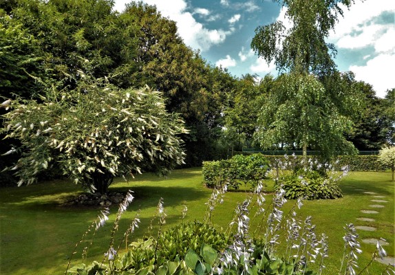 37-groepsaccommodatie-het-uitzicht-tuin.JPG