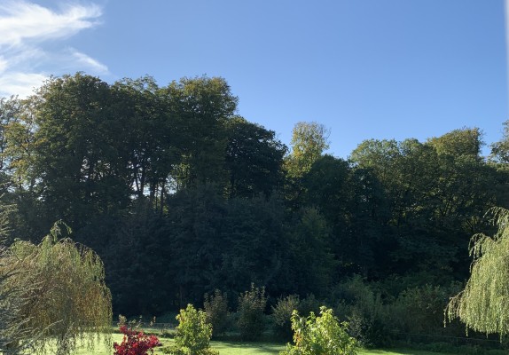 Natuur EB2.jpeg