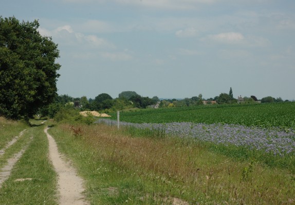 omgevingfotos 048.jpg