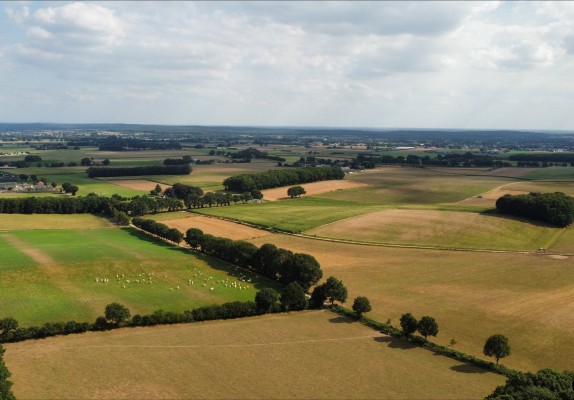 Dronefoto.jpeg