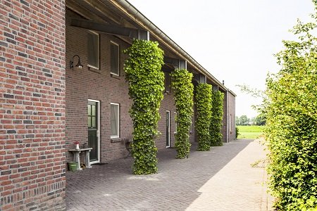 16-Groepsaccommodatie-Groesbeek.jpg