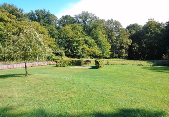 05 Eversbosch 3 tuin.jpg