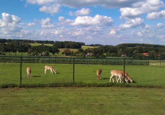 38-groepsaccommodatie-het-uitzicht-tuin.jpg