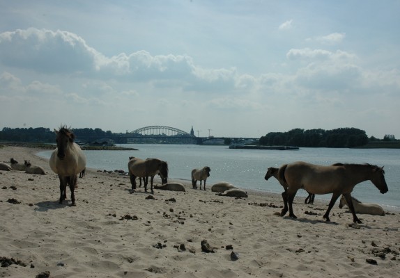omgevingfotos 067.jpg