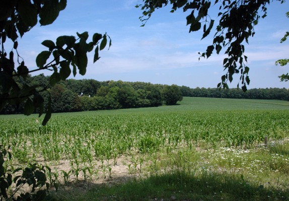 omgevingfotos 002.jpg