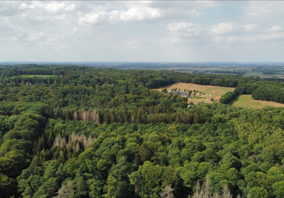 Drone omgeving.jpeg